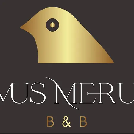 Domus Merulae Apartament LʼAquila