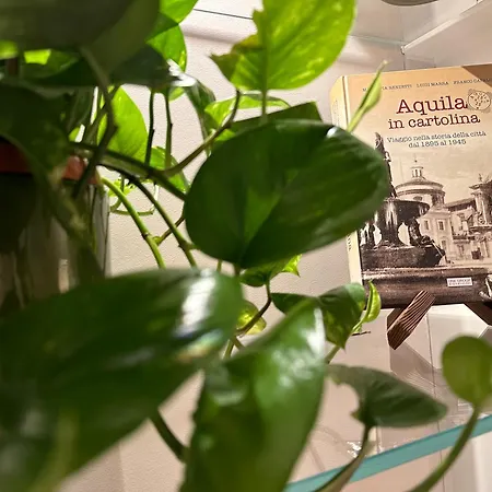 Domus Merulae Apartment